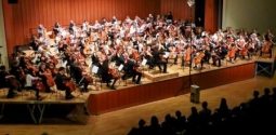 Deutsches Cello-Orchester